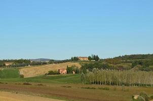 vingård i toscana italien foto