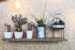 liten dekorerad växt och kotte på trähyllor över trämassabrädebakgrund med varm glödlampa foto