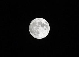 vit fullmåne i en mörk himmel foto
