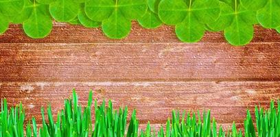 gröna klöver blad på en bakgrund sommar landskap foto