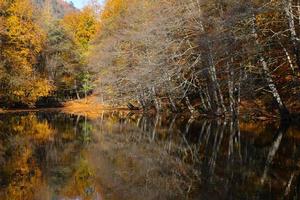 derin sjö i yedigoller nationalpark, bolu, kalkon foto