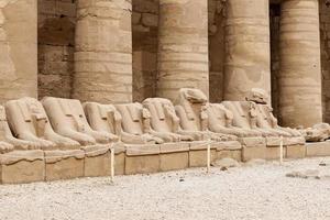 sfinxer i karnak tempel, luxor, egypten foto