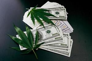 cannabisplantan på amerikanska dollar. pengar med marijuanablad. foto
