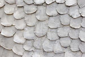 cementvägg eller golv texturerat, abstrakt bakgrund foto