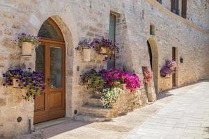 byn assisi i regionen Umbrien, Italien. staden är känd för den viktigaste italienska basilikan tillägnad st. francis - san francesco. foto