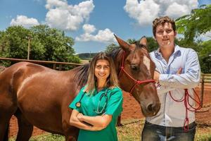 veterinärer i uniform med vacker brun häst utomhus foto