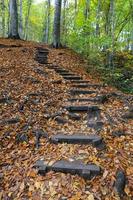 stig i yedigoller nationalpark, bolu, kalkon foto