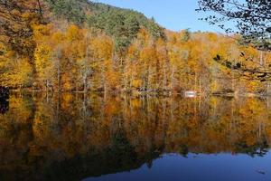 buyuk sjö i yedigoller nationalpark, bolu, kalkon foto