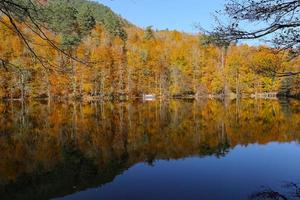 buyuk sjö i yedigoller nationalpark, bolu, kalkon foto