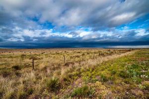 landskap marfa texas foto