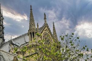 katedralen notre dame i paris foto