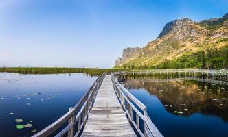 vackert landskap av träbro gångväg i träsk med gräsfält med blå himmel bergskedja bakgrund i khao sam roi yot nationalpark, kui buri distriktet, prachuap khiri khan, thailand foto