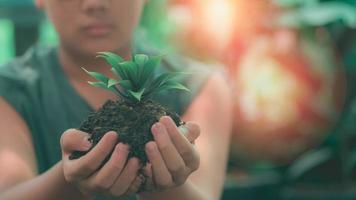 pojkens hand håller en grön planta med jord. foto