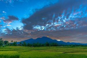 Indonesiens vackra naturliga bakgrund. morgon i det gula risområdet och bergen foto