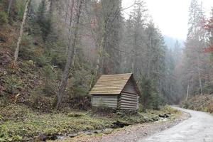 gamla turist trähus i skog i bergen. höstens naturlandskap. selektiv fokusering på huset foto