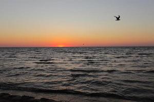 måsar flyger på gyllene solnedgång eller soluppgång vid det djupa mörka havet. Flygfoto över solnedgången och upp till havet. gul och orange färgglad himmel. romantisk vacker himmel under vårsäsongen. foto