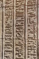 hieroglyfer i kom ombo-templet, aswan, egypten foto