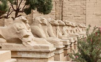 sfinxer i karnak tempel, luxor, egypten foto