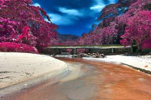 vackra rosa och lila infraröda bilder av tropiska palmer på Seychellerna foto