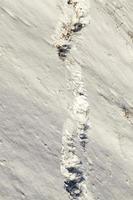 mänskliga fotspår i snön foto