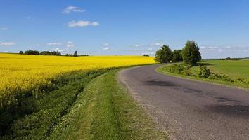den asfalterade vägen - den lilla asfalterade vägen som ligger på landsbygden. belarus foto
