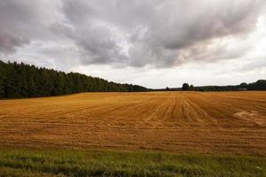 höstfält i molnigt väder foto