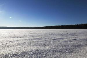 snödrivor på vintern foto