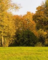 höstens färgglada landskap foto