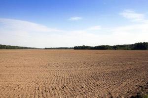 plöjd för odlingsmark foto