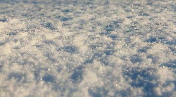snödrivor i vinter snö fotograferade under vintersäsongen, som dök upp efter ett snöfall. närbild, foto