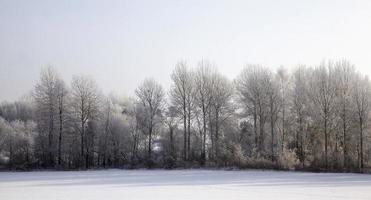 vintertid på året foto