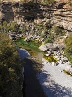 tara river canyon foto