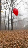 ballong park, närbild foto