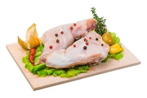 rått kaninkött på träplatta och vit bakgrund foto