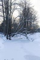 fruset vatten i floden under frost foto