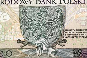 polska zloty närbild foto