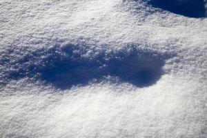 snö i en frostig vinter med mycket nederbörd foto