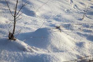 snöfall på vintern och vit fluffig kall snö och gräs foto