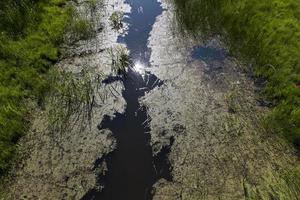 smutsigt vatten i en sjö eller flod foto