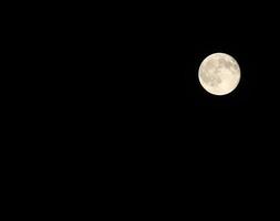 ljus fullmåne med de mycket synliga kratrarna foto