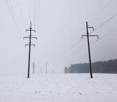 vinter säsong. Foto