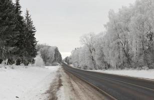 väg på vintern foto