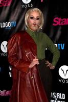 los angeles, 17 feb - matthew anderson på rupaul s drag race säsong 6 premiärfest på hollywood roosevelt hotel den 17 februari 2014 i los angeles, ca. foto