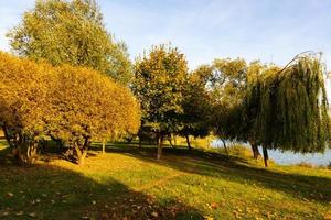 höstsäsong med fallna löv i höstens färgglada parkgränd. färgglada träd och fallna löv i höstparken. vacker höstväg på en solig dag. foto