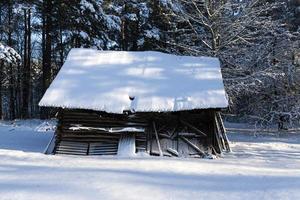 gammal trälada i skogen på vintern foto