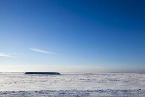 snö på vintern foto