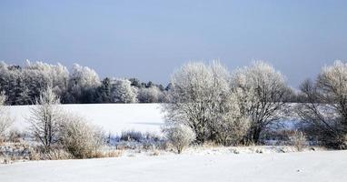 landskap på vintern foto
