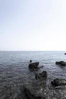 närbild. Adriatiska havet foto