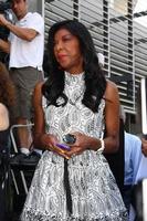 los angeles, 31 maj - Natalie Cole vid David Foster Hollywood Walk of Fame stjärnceremonin vid huvudstadsregisterbyggnaden den 31 maj 2013 i Los Angeles, ca. foto