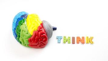 färgad karta hjärnanatomi modell med bokstavstänk foto